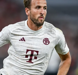 人更偏好冒 人更偏好冒