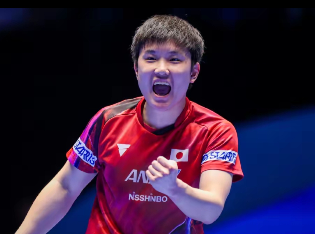 胜率波动便 胜率波动便